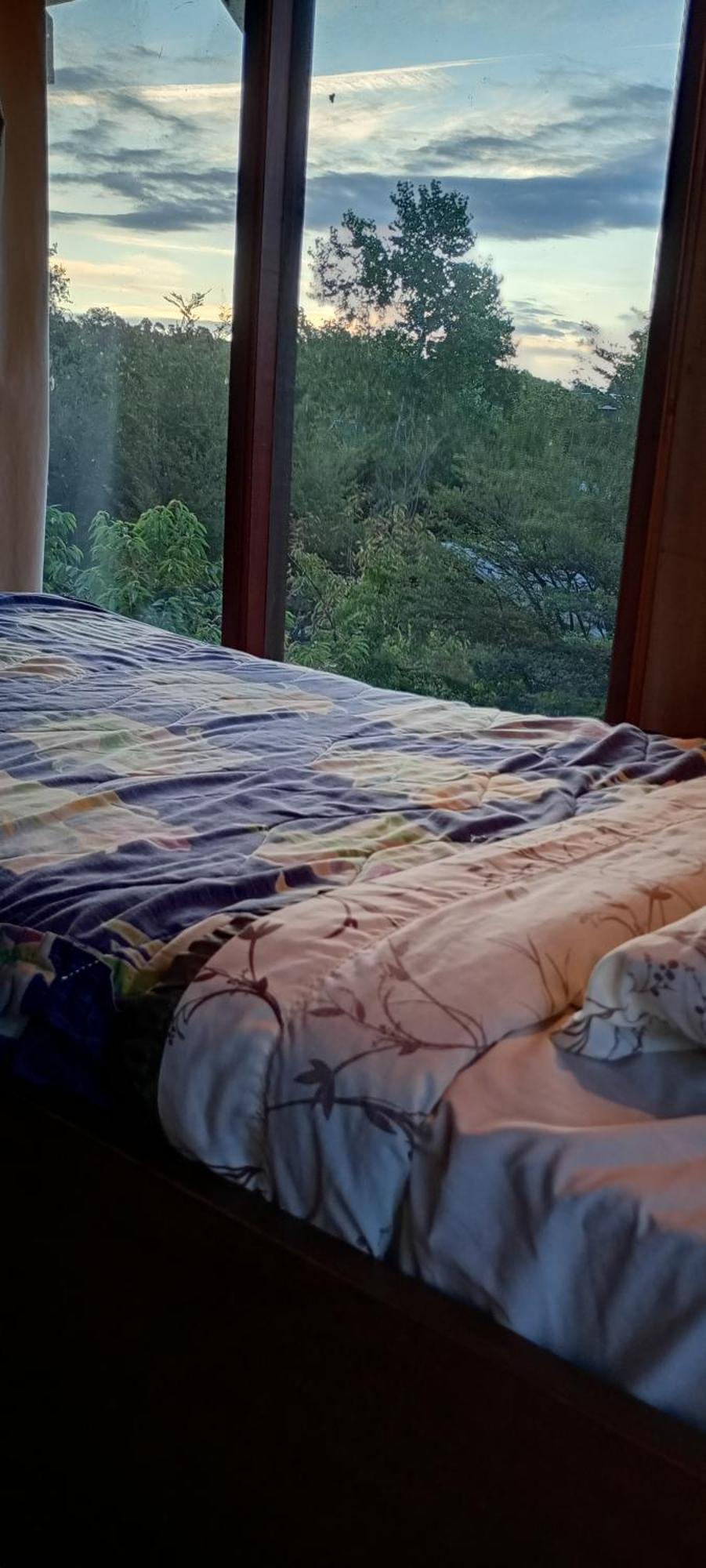 Hostal Quillelhue Pucón Extérieur photo